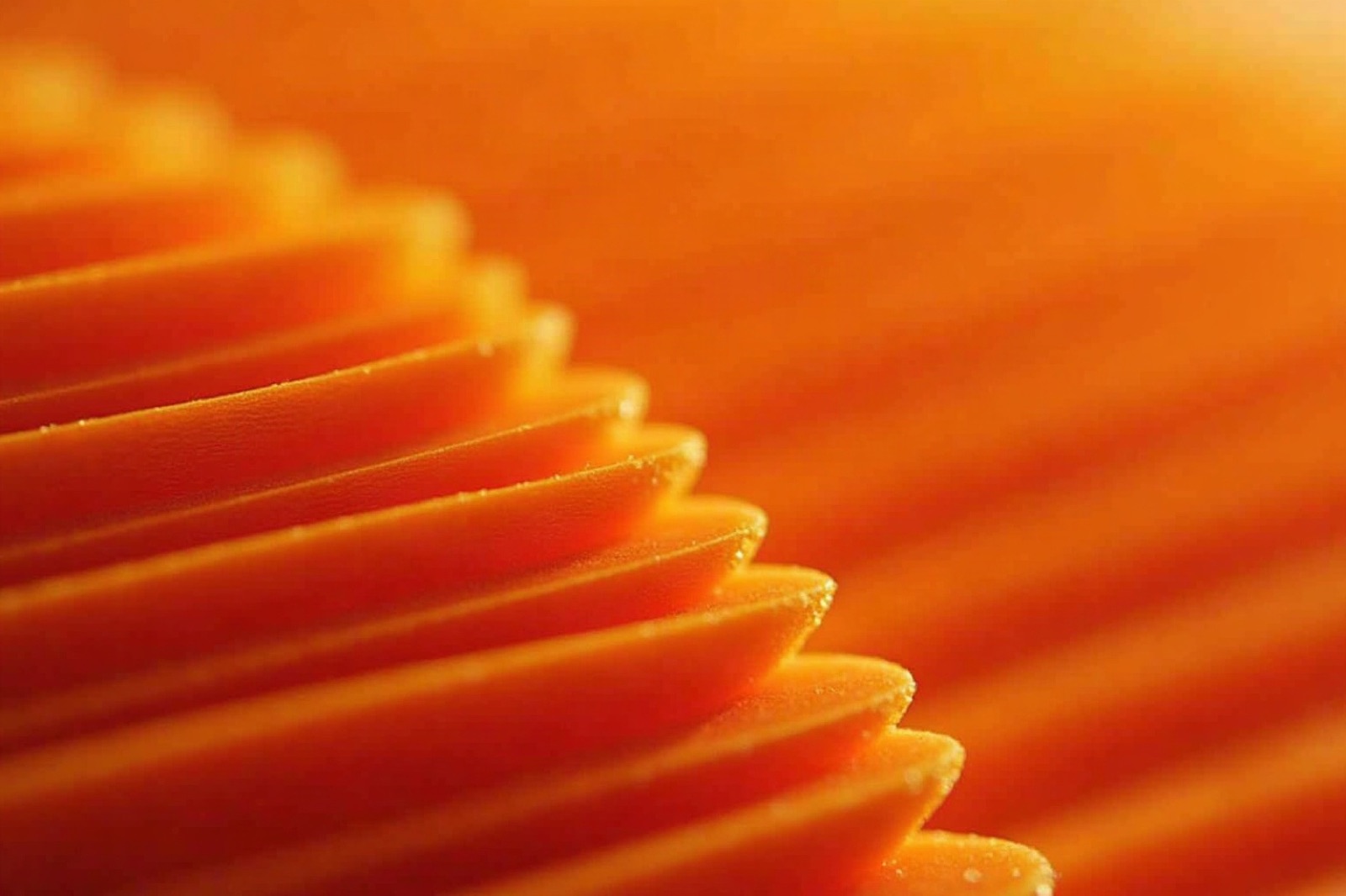 3D baskı katman çizgilerinin makro görüntüsü